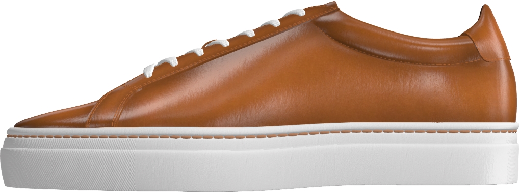 Cognac Patina render